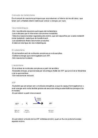 Resum-T1-Biologia.pdf