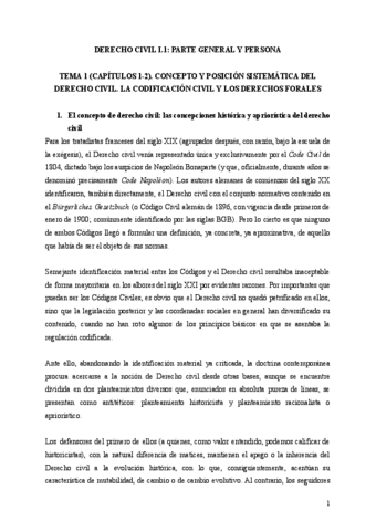 Derecho-Civil-I.1-apuntes.pdf