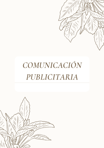 Comunicacion-publicitaria-magistral.pdf