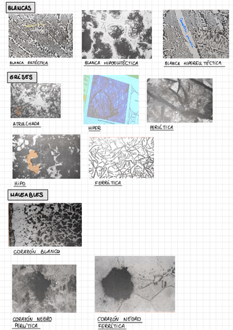 RESUMEN-PRIMER-PARCIAL.pdf