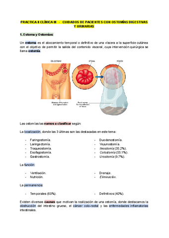 Practica-8-Cuidados-de-pacientes-con-ostomias-digestivas-y-urinarias.pdf