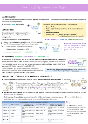 Tema-6.-Biologia.-Acidos-nucleicos-y-nucleotidos.pdf