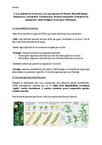 Tema-4-Genetica.pdf