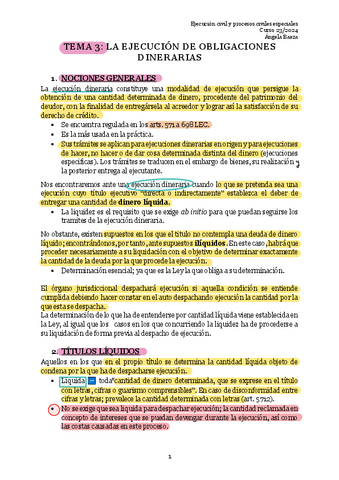 Resumen-T3.-EJECUCION-OBLIGACIONES-DINERARIAS.pdf