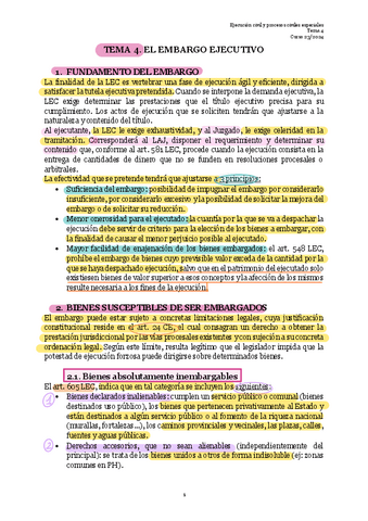Resumen-T4.-Embargo-ejecutivo.pdf
