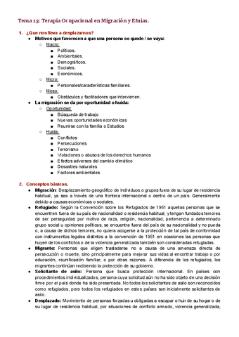 Tema-13.pdf