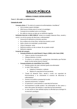 Salud y sistema sanitario.pdf