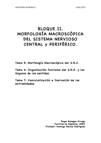 TEMA 5. SISTEMA NERVIOSO.pdf