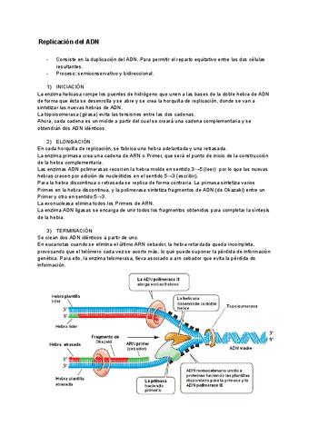 Genetica-molecular.pdf