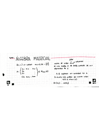 Tema 1: Algebra matricial.pdf