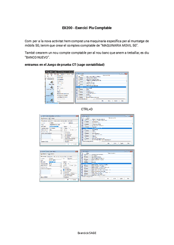Practica11EX200-Pla-comptable.docx.pdf