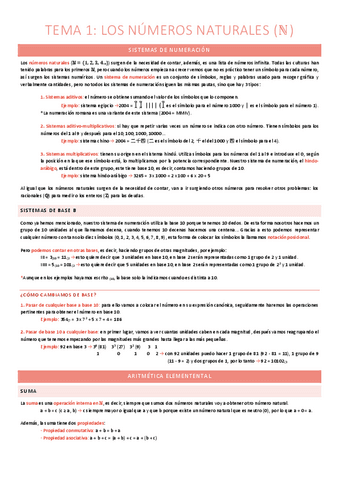 MATEMATICAS-TEMA-1.pdf