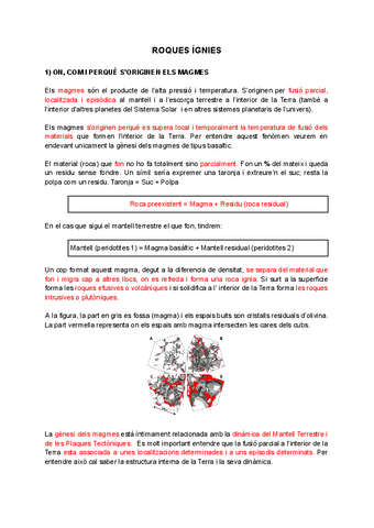 Roques-Ignies-1.pdf