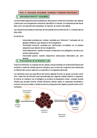 Tema-9-14b.-Inmunidad-adquirida.-Humoral-y-mediada-por-celulas.pdf