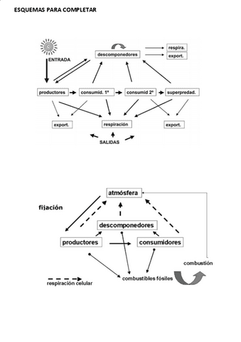 Examenes-primera-parte-CORREGIDO.pdf