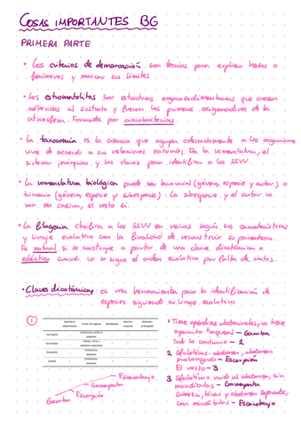 Cosas-importantes-BG.pdf