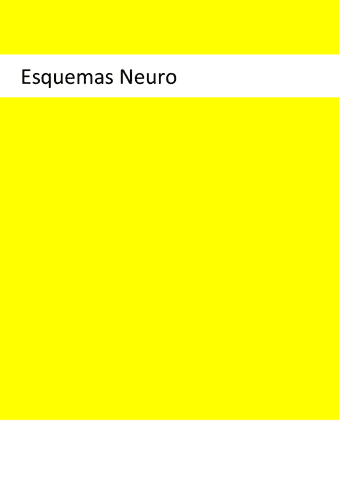 Esquemas-Neuro UIC.pdf