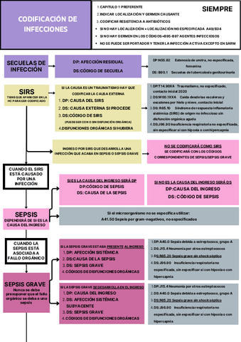 CODIFICACION-DE-INFECCIONES.pdf