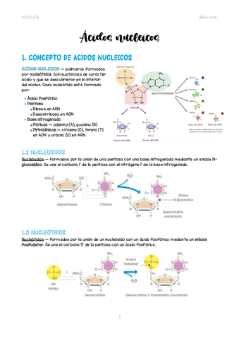 tema-5acidos-nucleicos-sin-subrayar.pdf