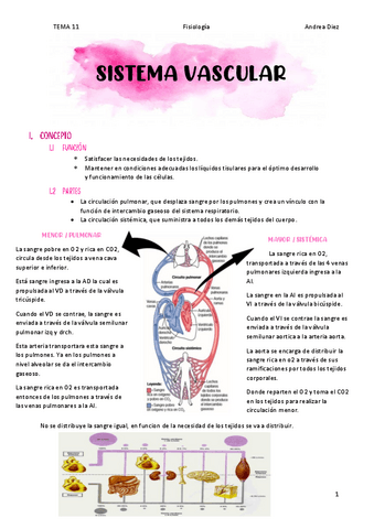 TEMA-11-Sistema-Vascular.pdf