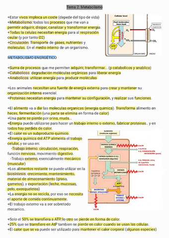 tema-2.pdf