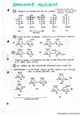 seminario-5-azucares.pdf