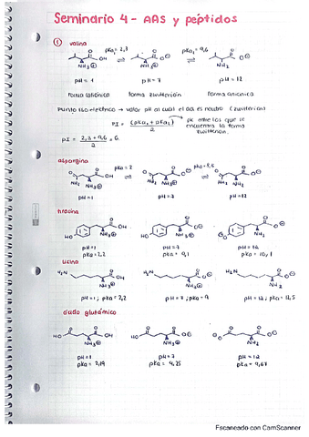seminario-4-aas-y-peptidos.pdf