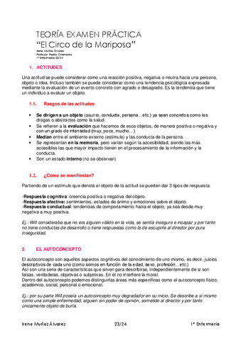 TEORIA-EXAMEN-PRACTICA-Pedro-Chamorro.pdf