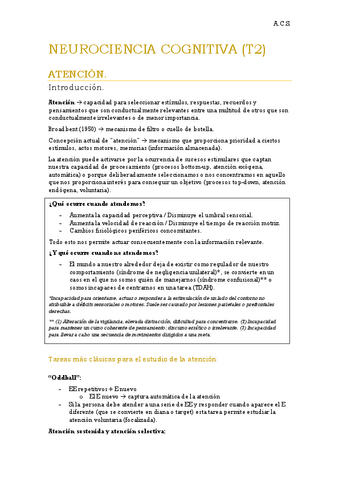 NEUROCIENCIA-T2.pdf