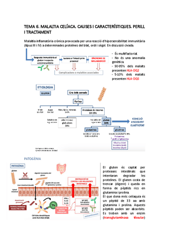 TEMA-6.pdf