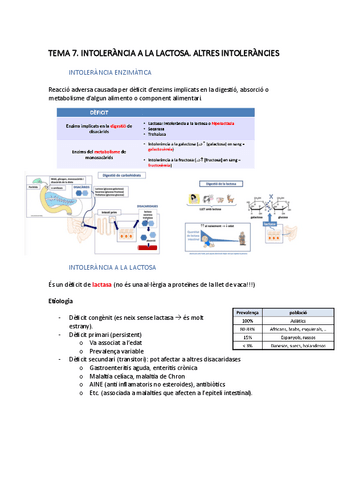 TEMA-7.pdf