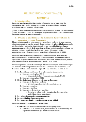NEUROCIENCIA-COGNITIVA-TEMA-3.pdf