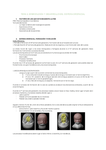 Tema-2.-Embriologia-y-desarrollo-del-sistema-orofacial.pdf