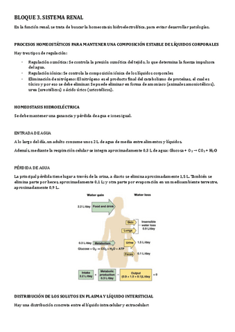 BLOQUE-3.-Sistema-Renal.pdf