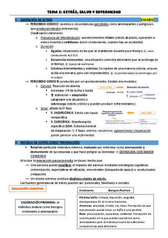 TEMA-2.pdf