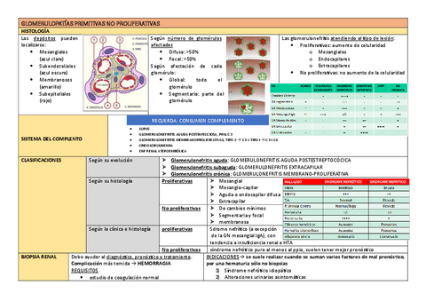 GLOMERULONEFRITIS-NO-PROLIFERATIVAS.pdf