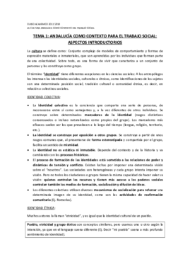 APUNTES CULTURA T1.pdf