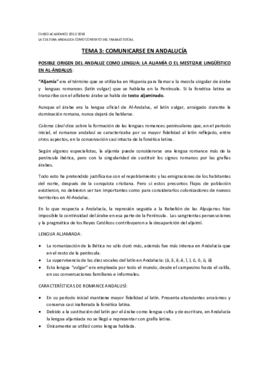 APUNTES CULTURA T3.pdf