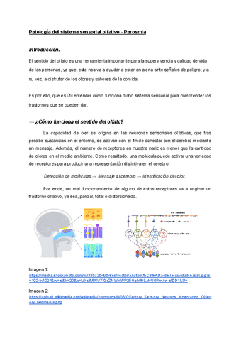 Anatomia-SEMINARIO.pdf