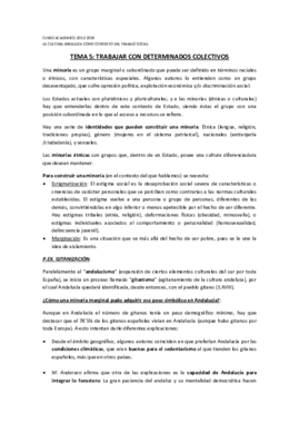 APUNTES CULTURA T5.pdf