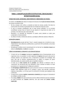 APUNTES TEMA 1 ESTRUCTURA.pdf