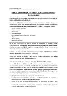 APUNTES ESPECIALIZADOS.pdf
