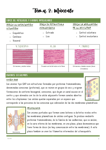 FIS-Tema-3-el-musculo.pdf