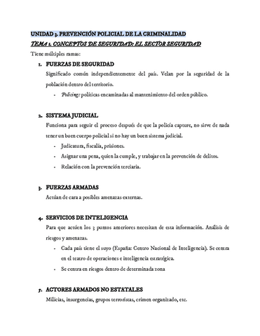 TEMAS-DE-DESARROLLO-POLITICAS-DE-SEGURIDAD.pdf