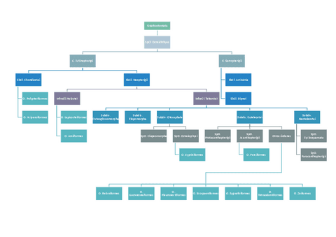CLASIFICACION-OSTEICTIOS.pdf