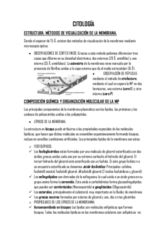 2.1. resumido.pdf