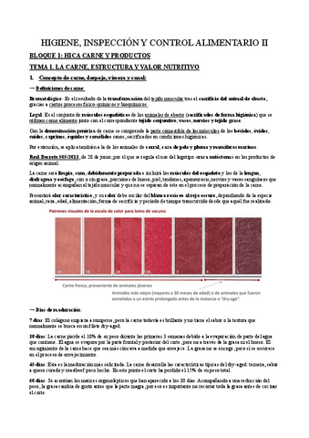 Bloque-1-Carne-y-productos.pdf