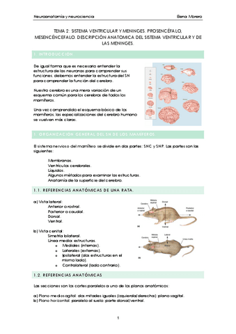 tema-2-neuroanatomia-y-neurociencia.pdf