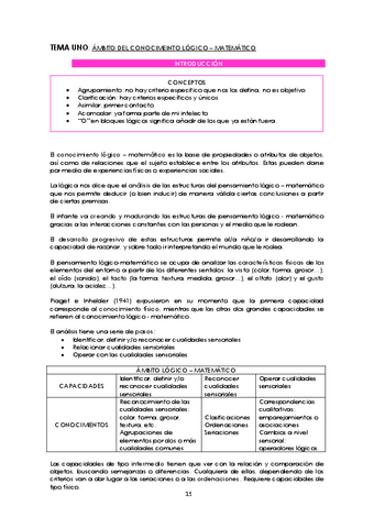 DESARROLLO-DEL-PENSAMIENTO-MATEMATICO-Y-SU-DIDACTICA-TEMA2.pdf