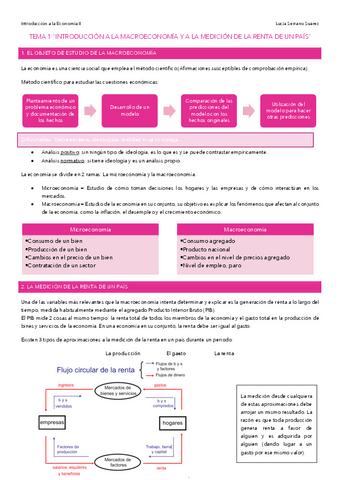 intro-II-apuntes-COMPLETOS.pdf